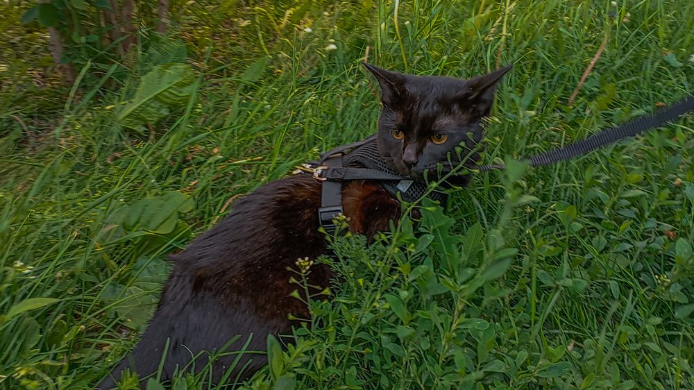 Photograph by Елена Ерасова