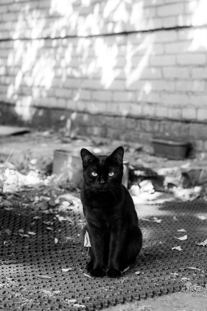 Photograph by Евгения Шулакова