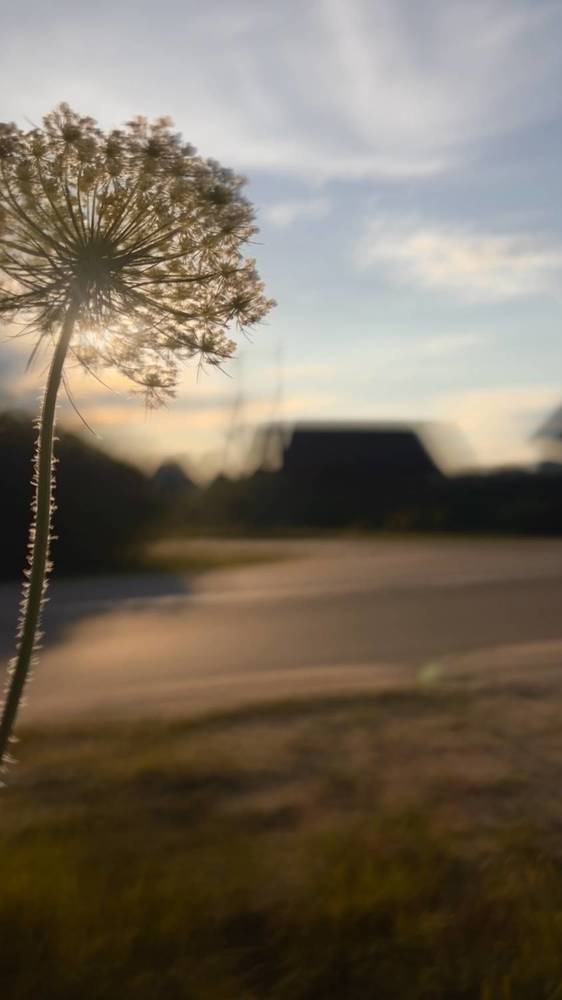 Photograph by Оксана Корепанова