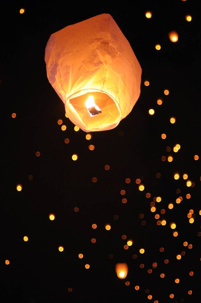 Photograph by Maja Sokolean