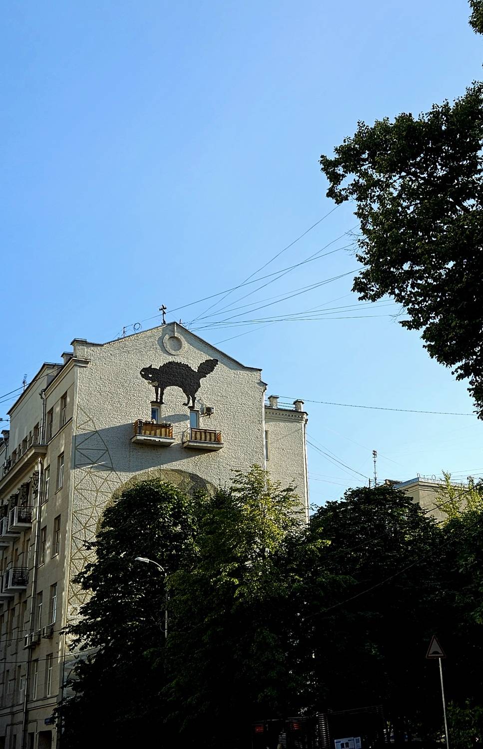 Photo #11304948