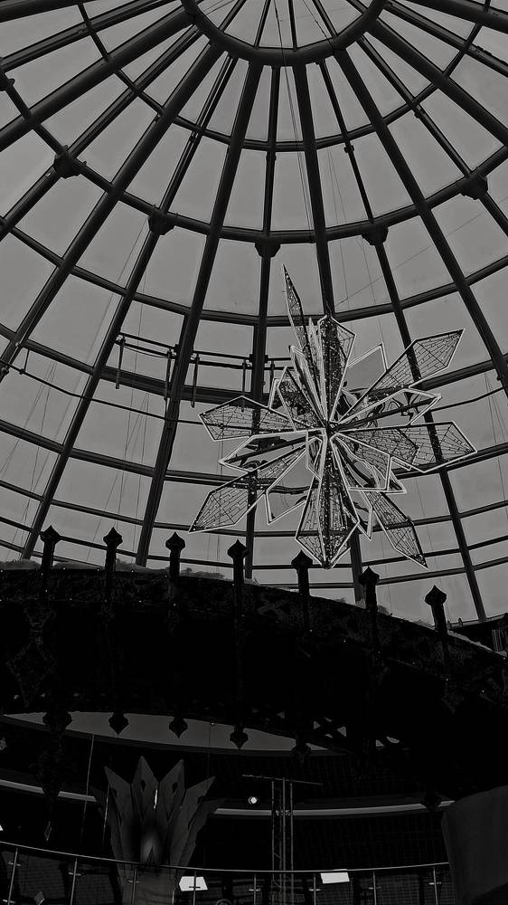 Photograph by Людмила Щуцкая