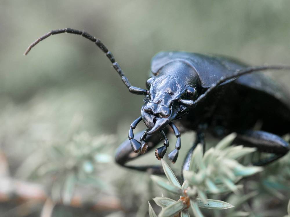 Photograph by Руслан Гончар