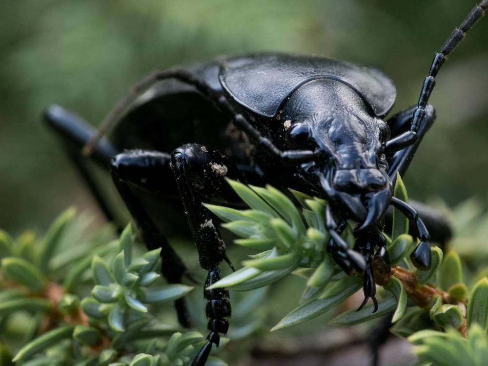 Photograph by Руслан Гончар