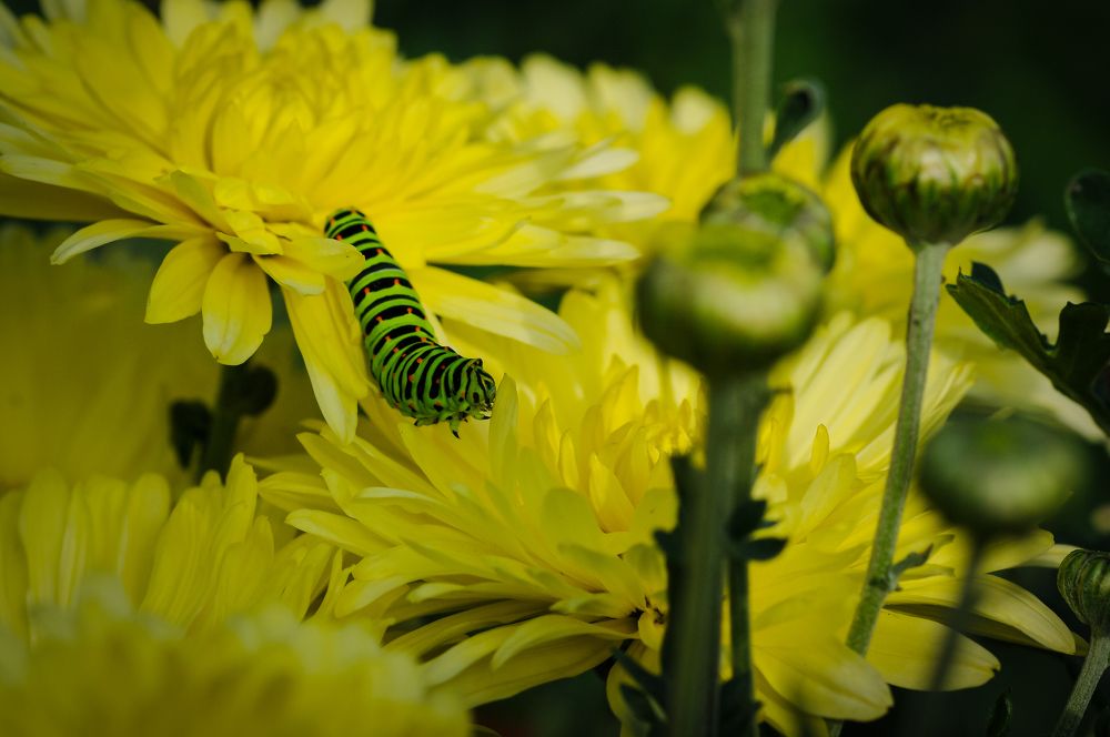 Photograph by Николай Захаров