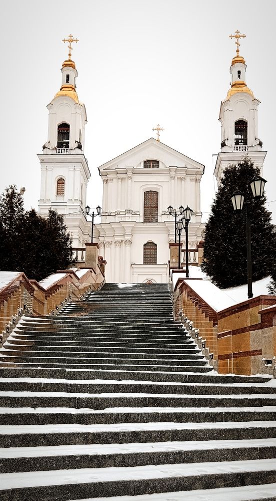 Photograph by Mishel Photographer