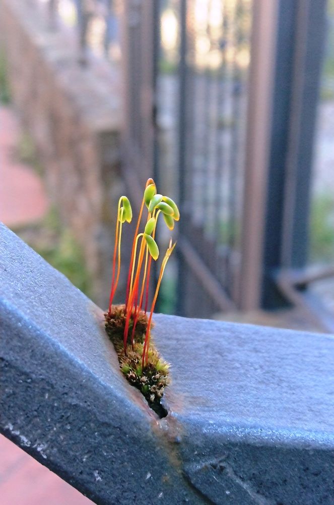 Photograph by Nadzeya