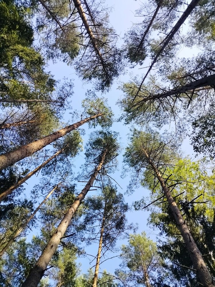 Фотография автора Наталья Драгун