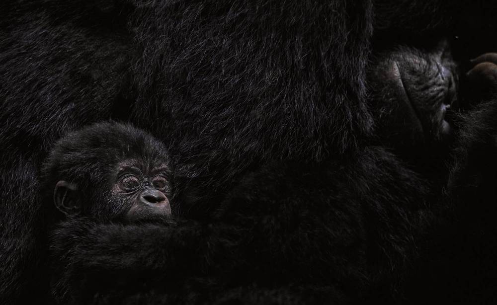 Photograph by Александр Гиль