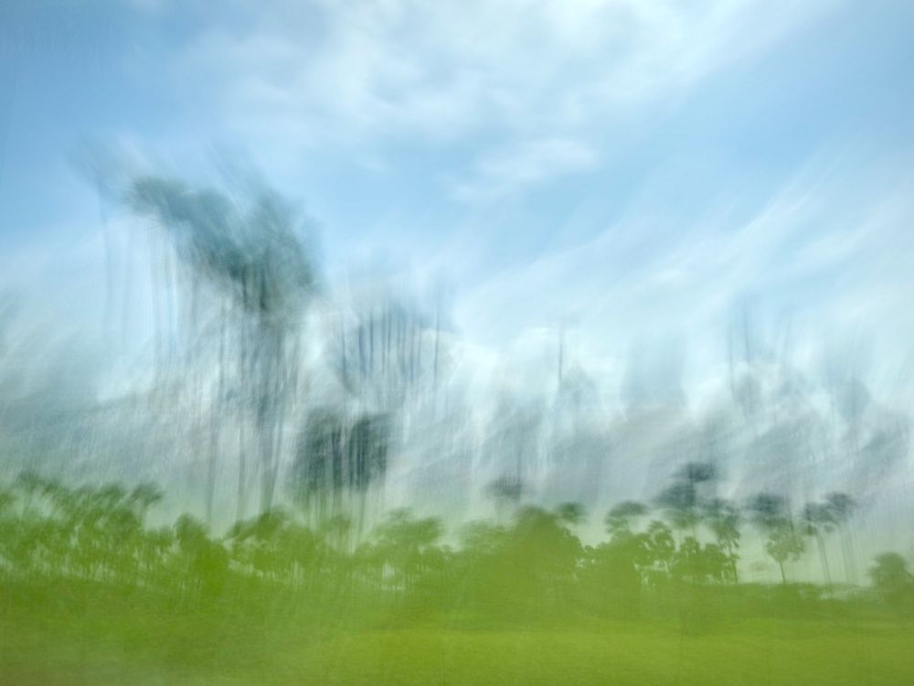 Фотография автора BIPLAB MISRA