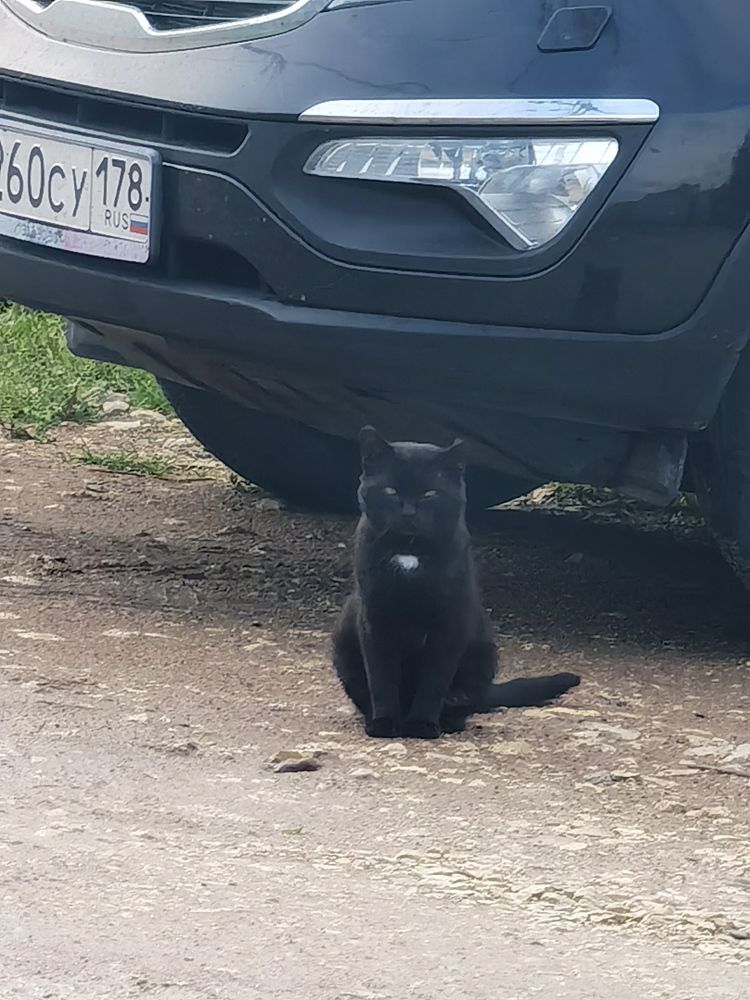 Photograph by Виталий Кореньков