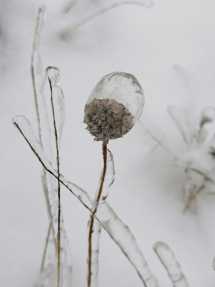 Photograph by Анжелика