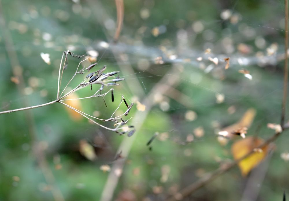 Photograph by Анна Стрелковская