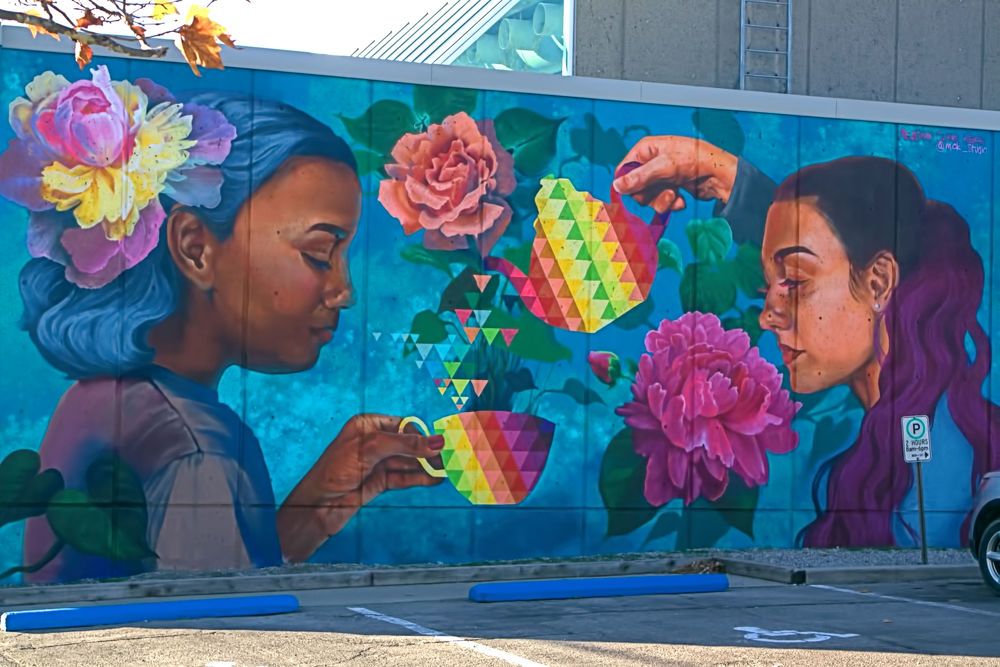 Photograph by A. G. Bisschop