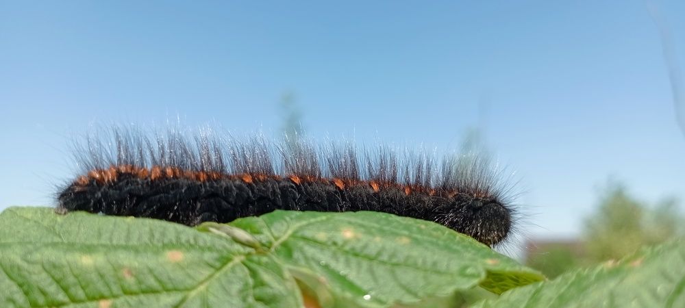 Photograph by Анастасия Кичигина