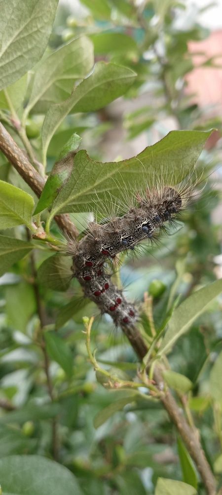 Photograph by Анастасия Кичигина