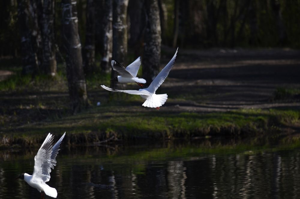 Фотография автора Алексей