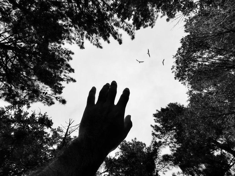 Photograph by Masoumeh Rahimi