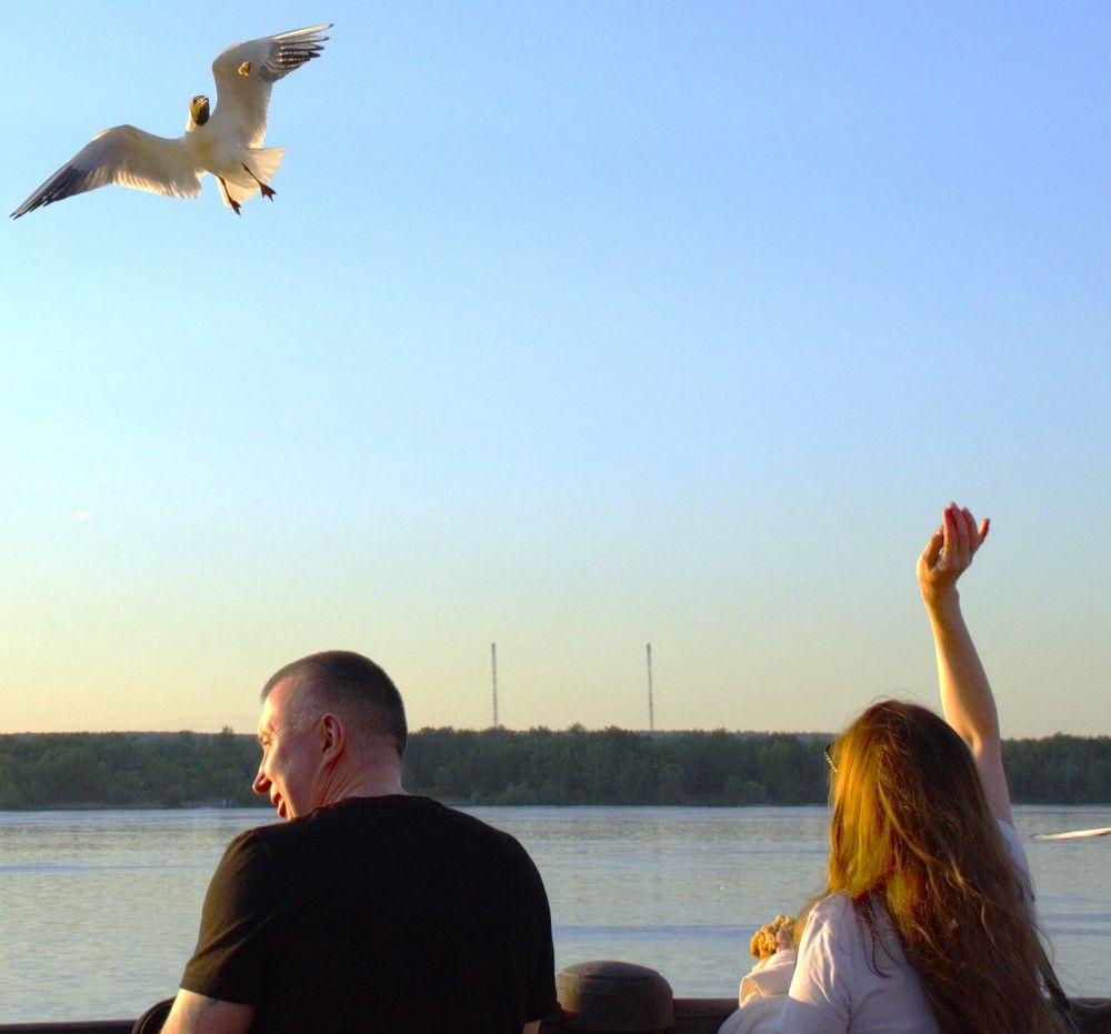 Фотография автора Алексей