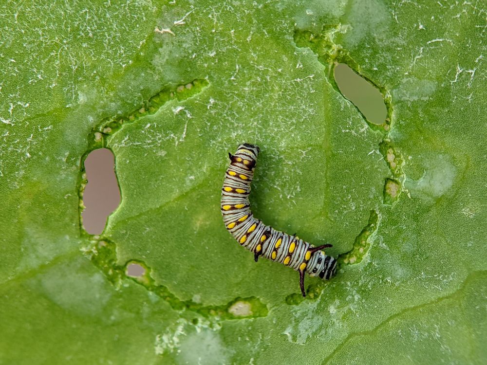 Photograph by Md Mofizul Islam