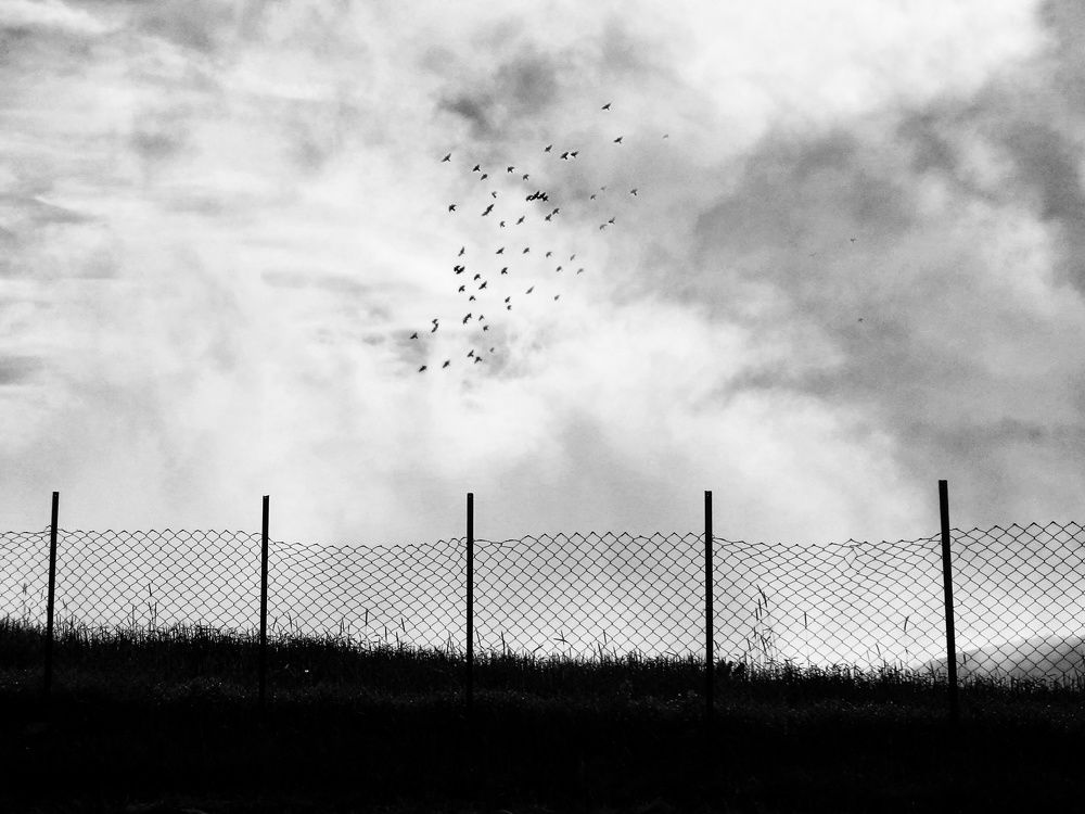 Photograph by Masoumeh Rahimi