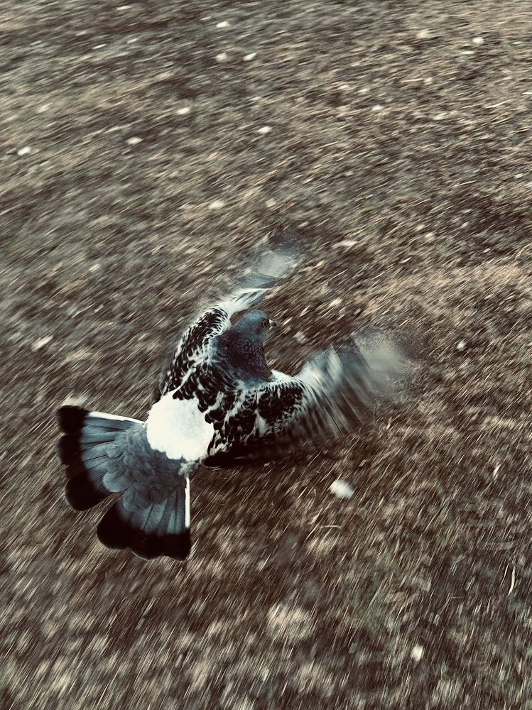 Фотография автора Ольга Лазаренко