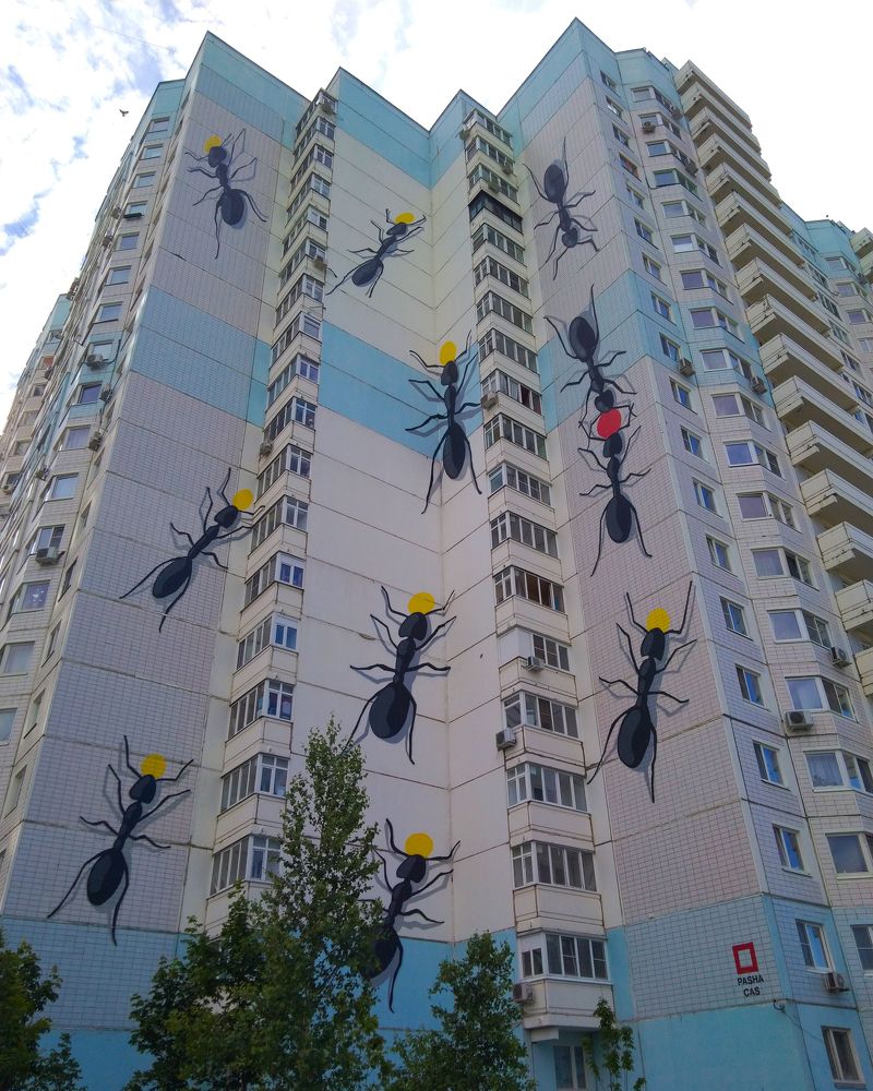 Photograph by Юлия Алпатова