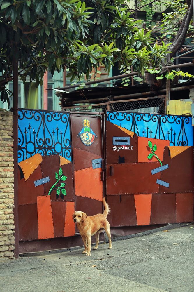 Photograph by Ирина Сушко