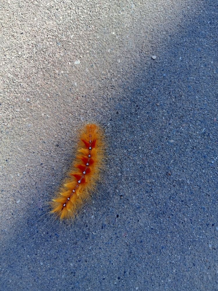 Photograph by Ольга Сергеева