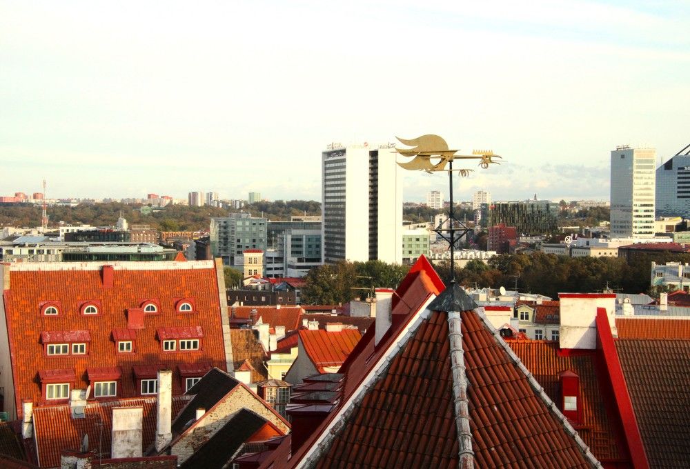 Photograph by Anna Baykova