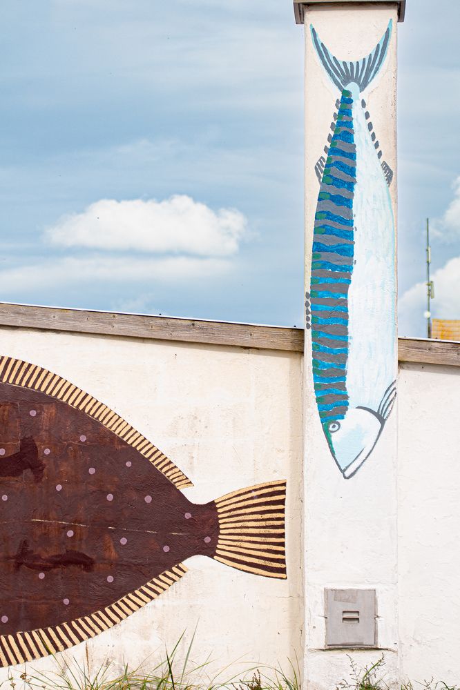 Фотография автора Alyona Madsen