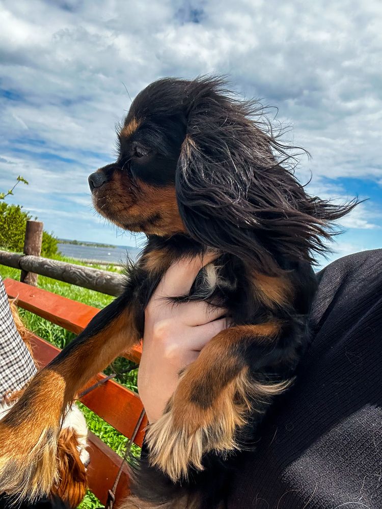 Photograph by Anastasiia