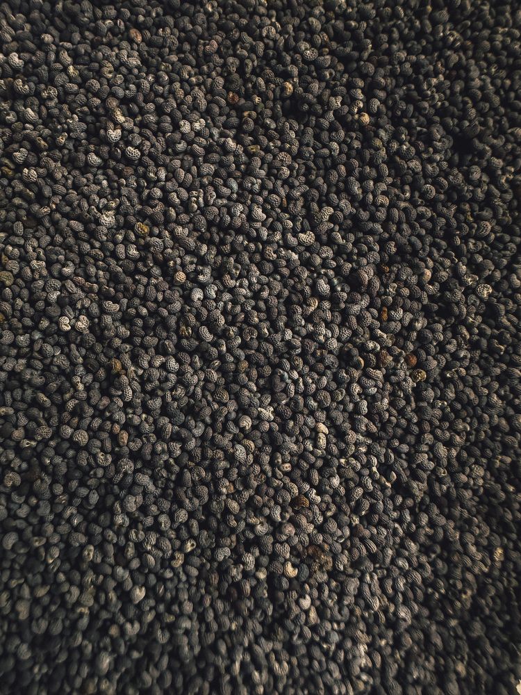 Photograph by Anastasiia