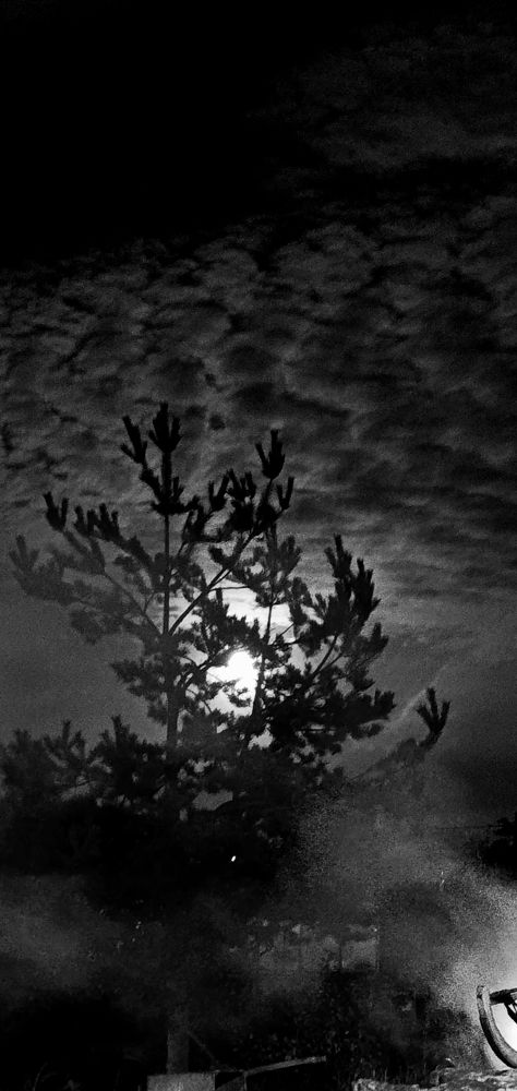 Photograph by Lora Kuralovi