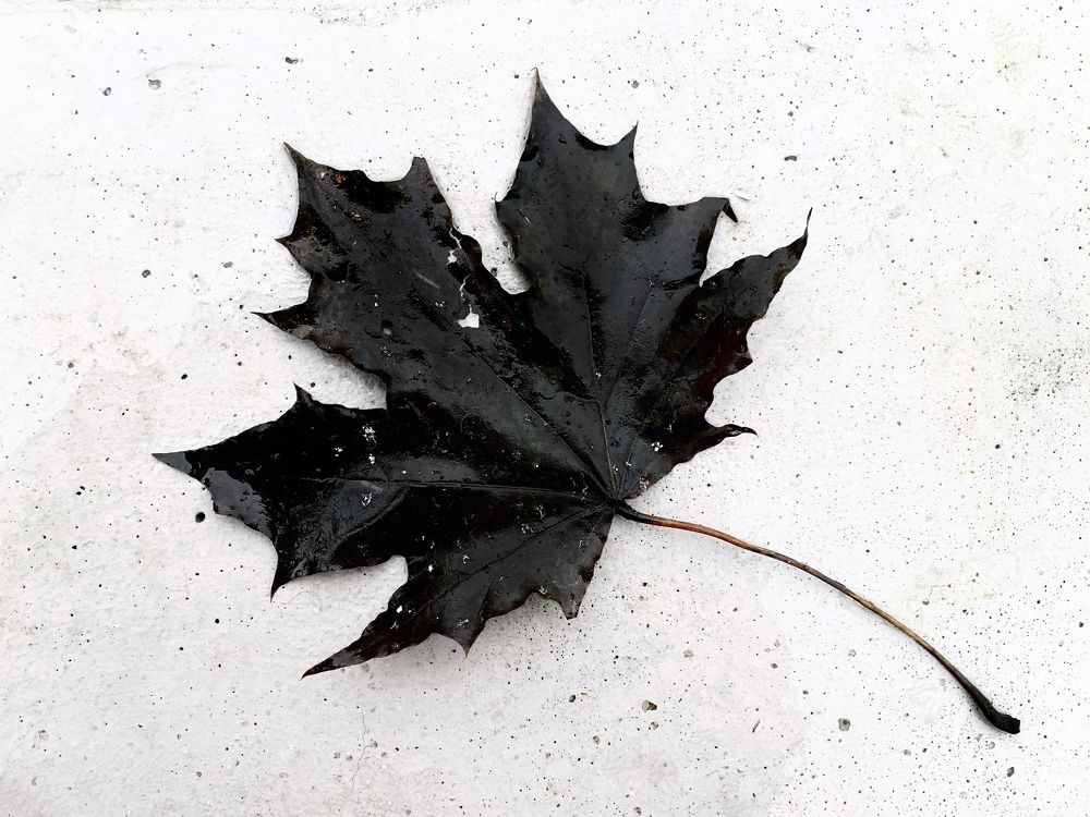 Photograph by Ионова Татьяна