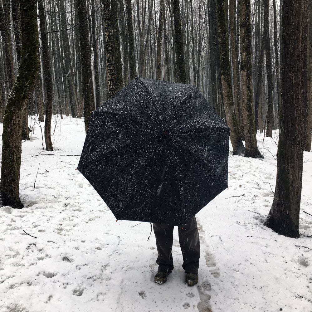 Photograph by Ионова Татьяна