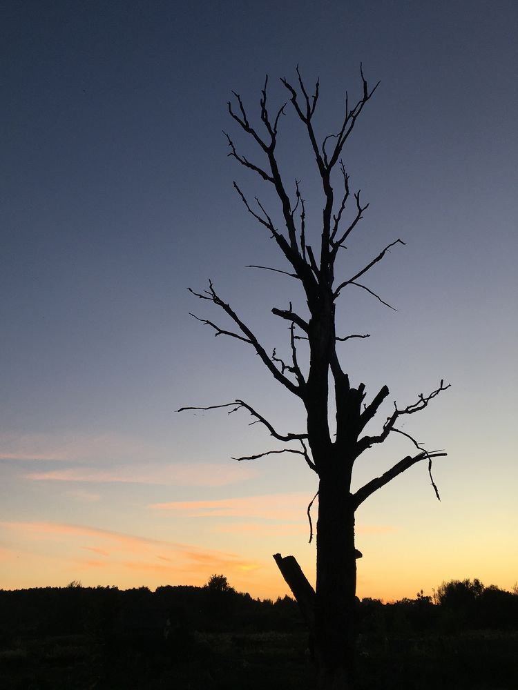 Photograph by Ионова Татьяна