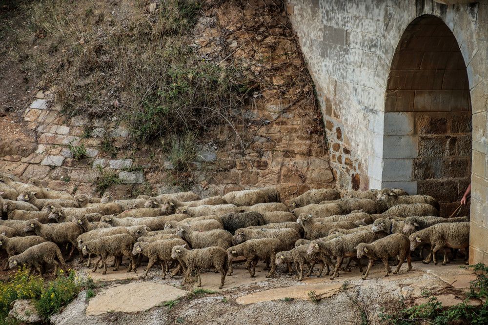 Фотография автора vanessa elbin