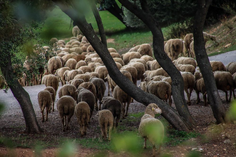 Фотография автора vanessa elbin