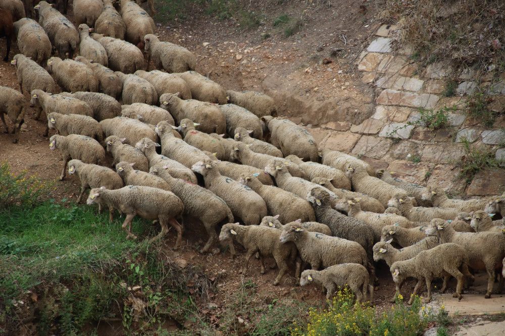 Фотография автора vanessa elbin