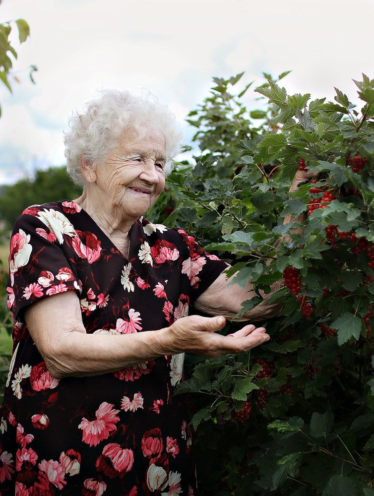 Photograph by Нина Аристова