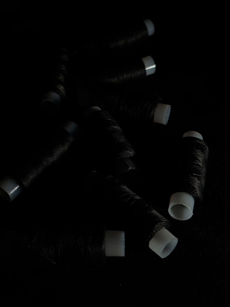 Photo #11305601
