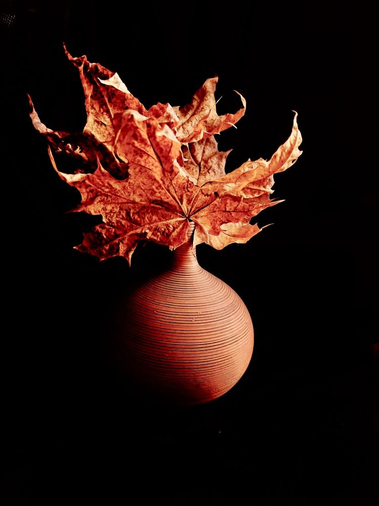 Photograph by Irina Lazarenko