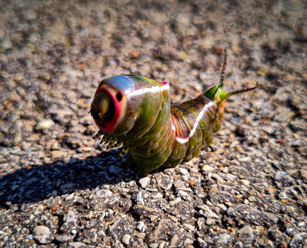 Photograph by Ljudmilla Pavljutsenkova