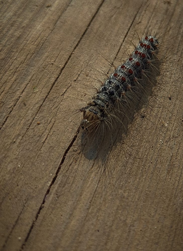 Фотография автора Ольга Кунакова