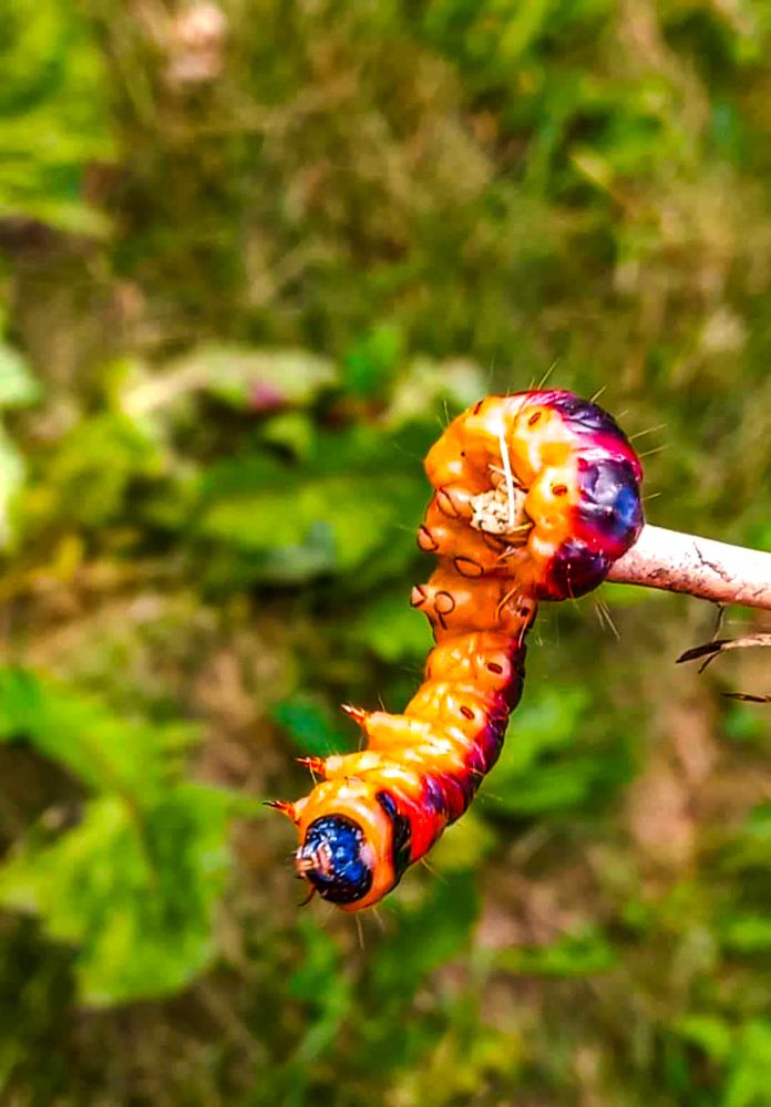 Photograph by Ljudmilla Pavljutsenkova