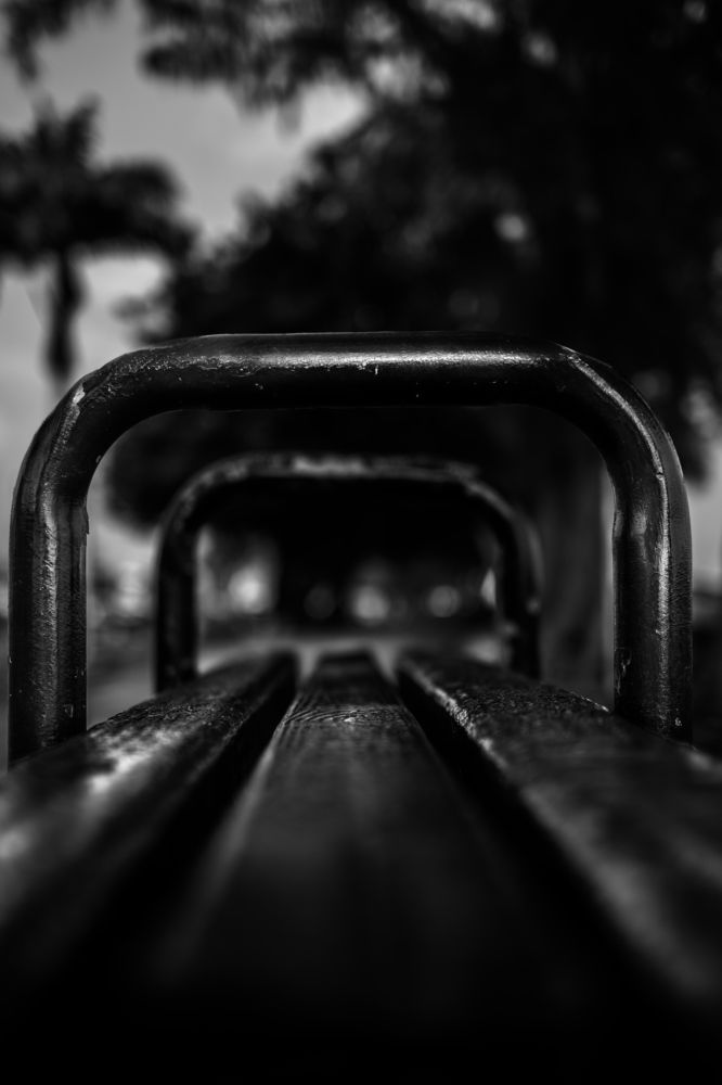 Photograph by Akeem Chandler-Prescod