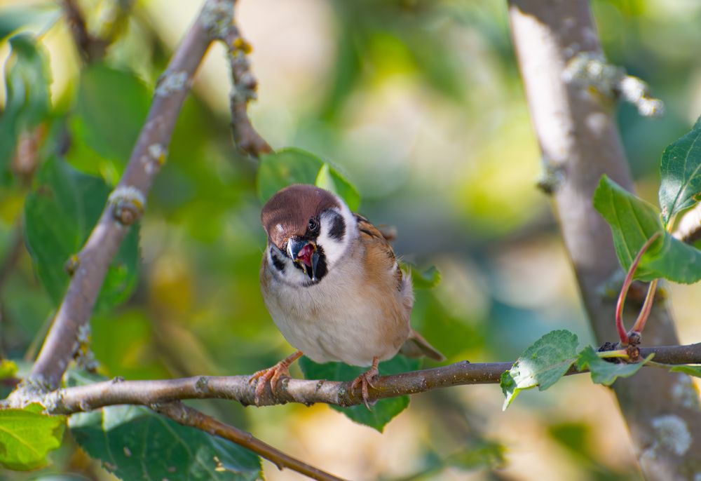 Photograph by Кристина Дегтярёва