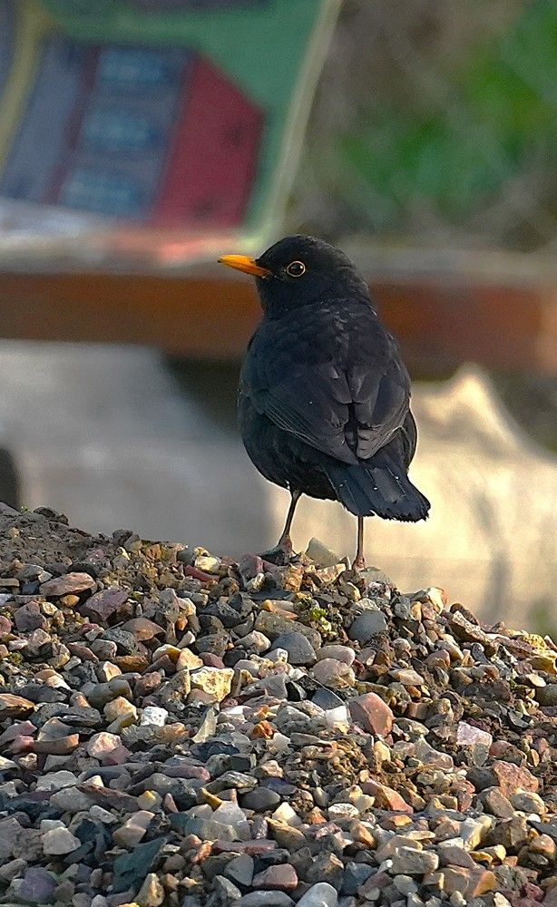 Photograph by Михаил Трусов