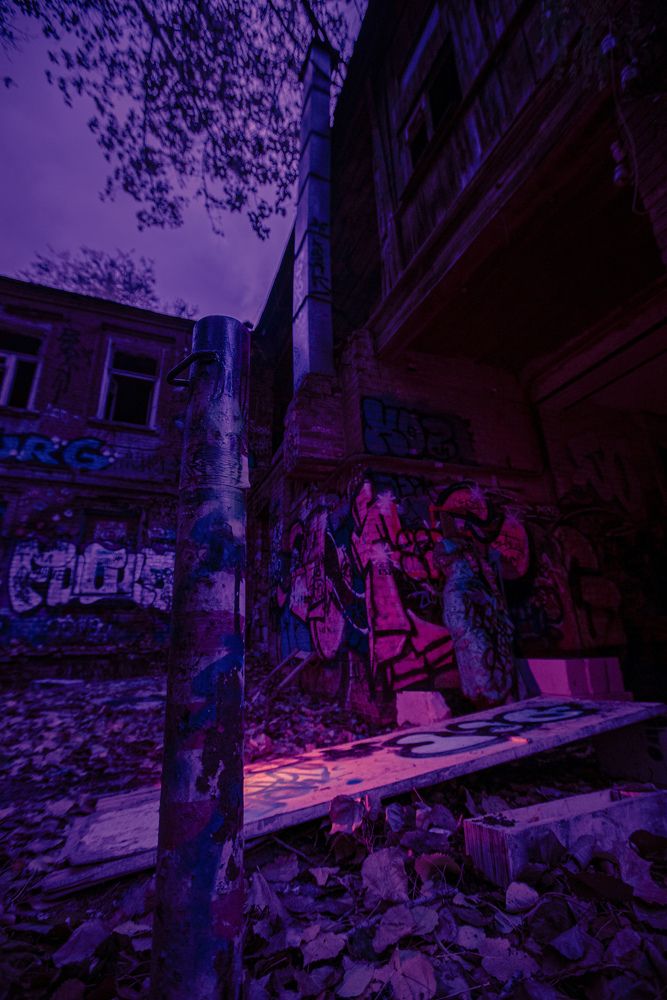 Photograph by Alex Debolsky